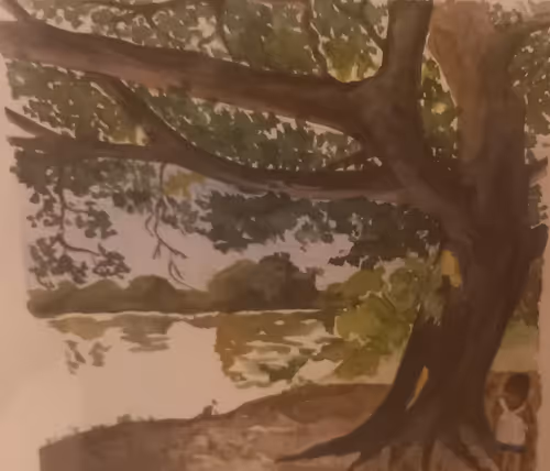 Item #85412142657427173727656337466147584163818228061505679261078951823860526219265 Media