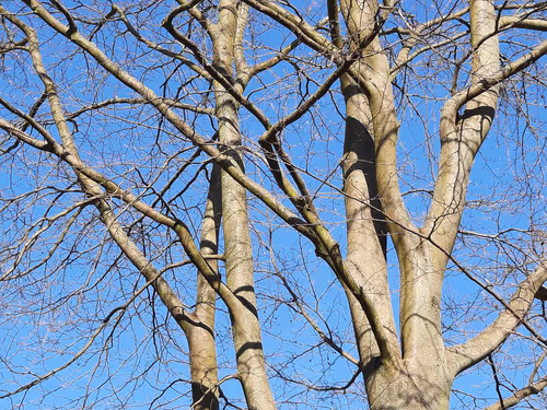 Item #13665938074563914331498291329920780757136253607588816979915017140873157672961 Media