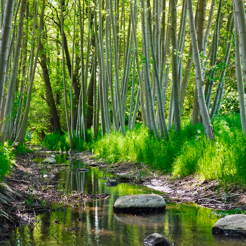 Item #103686277115178527412315898511256896200639863012682764514094226651883841257473 Media