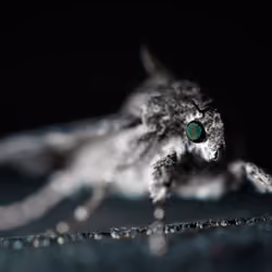 Nocturnal Destiny