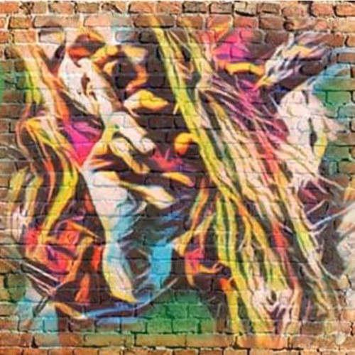 Item #85298553395588626557289502678210041301594070344896288824834945535130250248193 Media