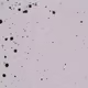 35060240616663831987545971003584164620807721310792165811660495744650901979137