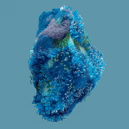 Item #29025029791859050124720480462956340608557292548544538512690378019309860421633 Media