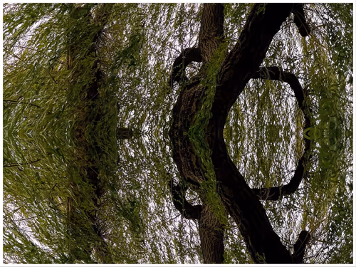 Item #39842122399831876294969041227459341578040195517803177153867578423126110765057 Media