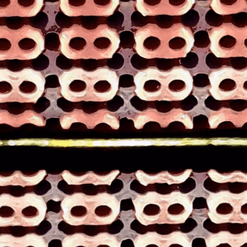 CryptoNFTea Collection