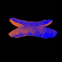 23333466697875174516646510041421218827281761794801465450686785900384043925505