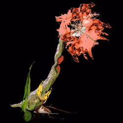 Flower 09