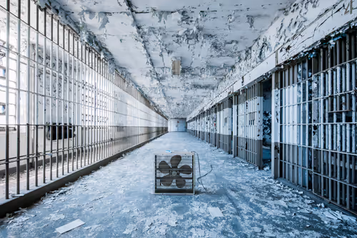 Item #10476208371703460535276576839065665727776608392811958092550952985506644754433 Media