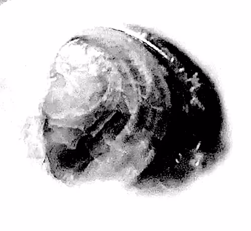 Item #13444301814129602998963981015942214273986404883937421341916514801247615713281 Media