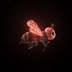 80295169786560141294720674454155553224142860465866122703603050637151508103169