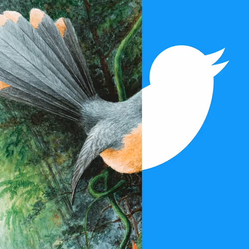 35815101816773620025372872917410285181680454517743414566810565056854759571457