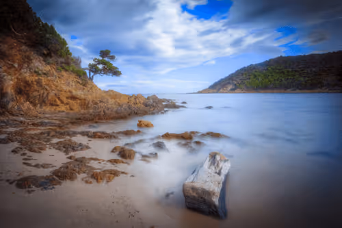 Item #6505089431552554568137386774614394979265528746054988378978093558814497308673 Media