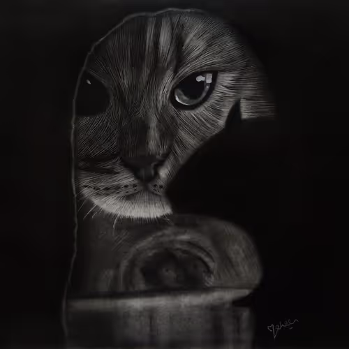 Item #55986617302409629486759846259040043364516686795130712673458847432171415666689 Media