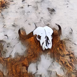 Buffalo #3