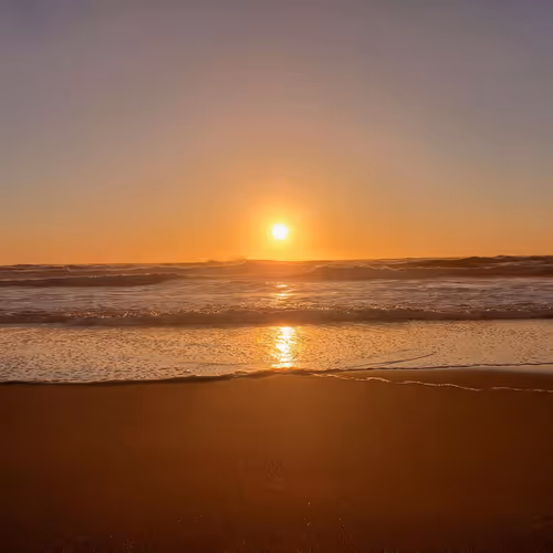 Coastalsunsets
