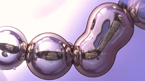 Item #101722242459461766671850244672997948412133570446471513908012687115415940235265 Media