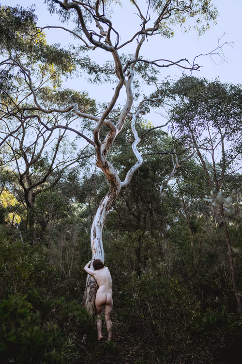 Item #61391337171317140422773218600803831211988989866451472612993262357078404497409 Media