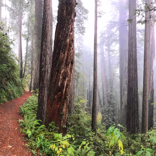 Dublet007 Collection