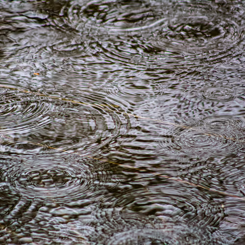 Item #110563264937173630415102547684714144673786021135482478862181301905405348151297 Media