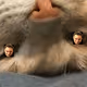 PedroCats