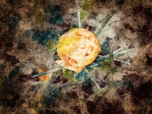 Item #69261177602478584146078213691104273677815526894191982293268527792471186341889 Media