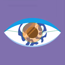 71416166653863509119767922235780018391532912343779032356617461875775641747457