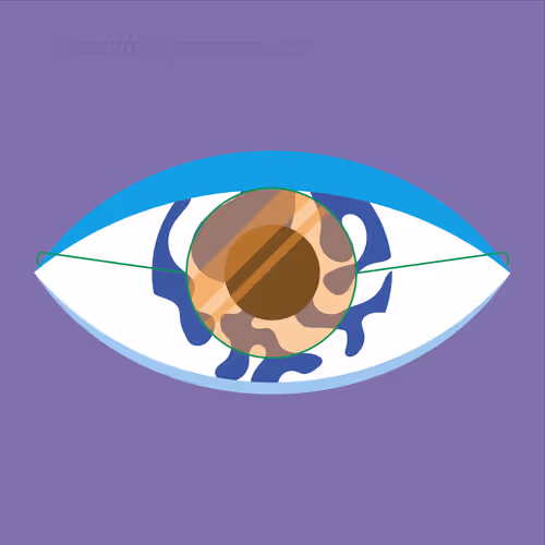 Item #71416166653863509119767922235780018391532912343779032356617461875775641747457 Media