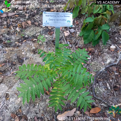 Item #8500196597889277390194123329501889087166328879864934763448348834711430234113 Media