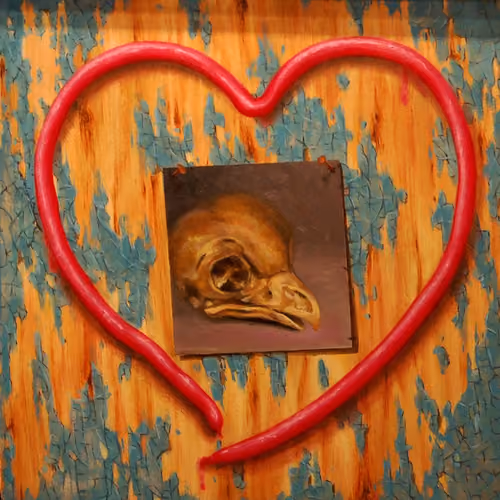 Love Bird