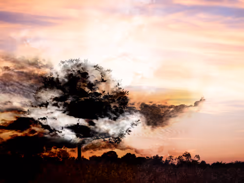 Item #9224774212819895125151329227558105848746737413000858823627967945292470288385 Media