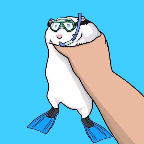 The Snorkeler 