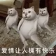 qqq67