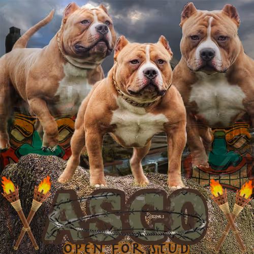 Item #4158530134966150540900757107707686029551274978243992837749740316854660890625 Media