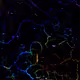 72256936060036278923331537561005506622264708892264959040134690050951643922433