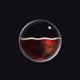40804310071733365275887890528613580253170009105884358269229708388067918741505