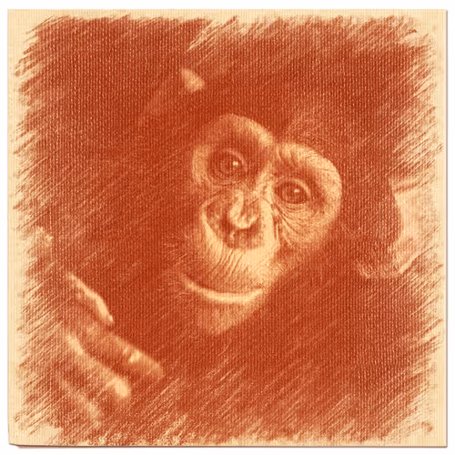 Item #38775667772334495200431258381610230883296000587885911426312875879178168172545 Media