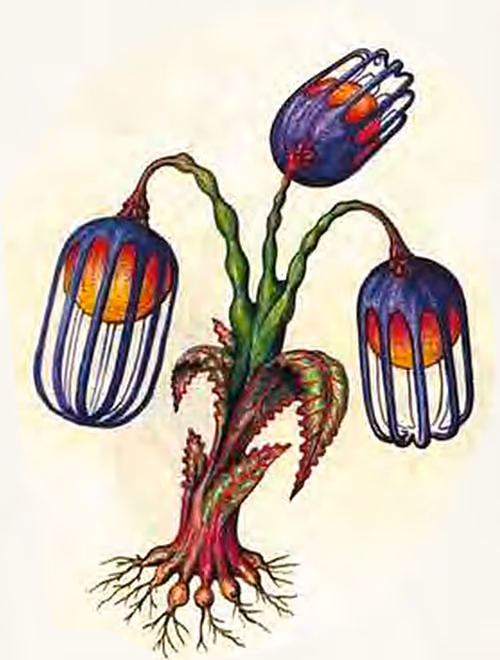 Item #78864796298763862712883292803622526859653475415382773801457426608482320121857 Media