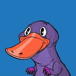 FDUCK #002