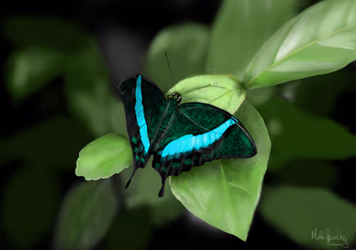 Item #39421720859211354598059957797071189726995094898407091321274451940773187289089 Media