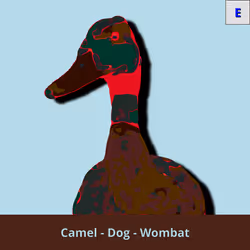 73474911565276893363269127585336255498112534630235322163062143445988079042561