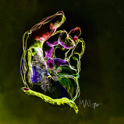 The Artist's Hand #01