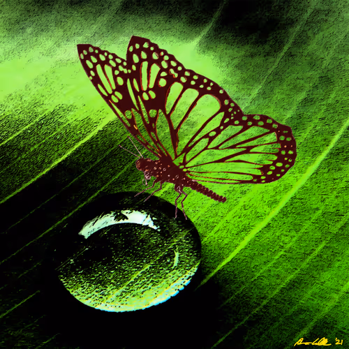 Item #54658991954620569599207754676135346584327228106620549664564325858443496783873 Media