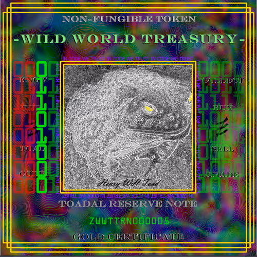 Wild World Treasury