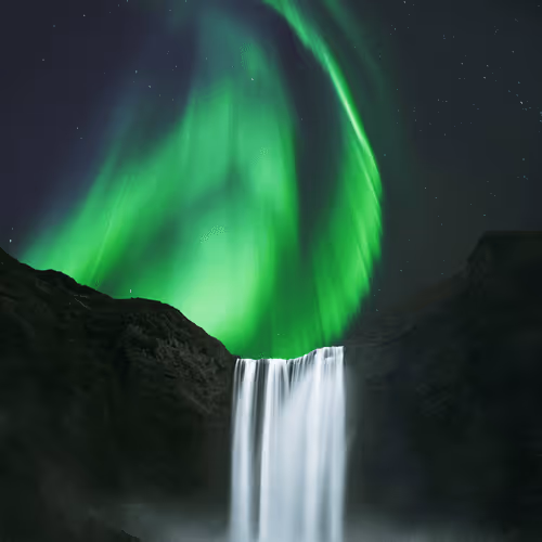 Dipanjan Pal Editions