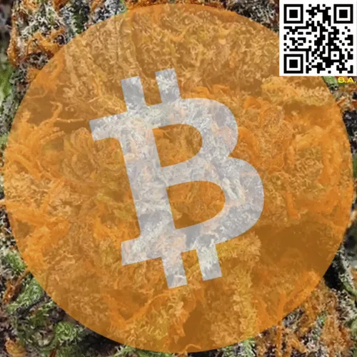 61089433673675855013240100592429788426200334601701735580530433796087585177601