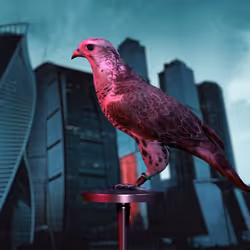 5362693153686757663037229957776630052012240176014263673100968366292875608065