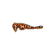 2987503284076859872436542778939479470751586599002203531735462255499161894913
