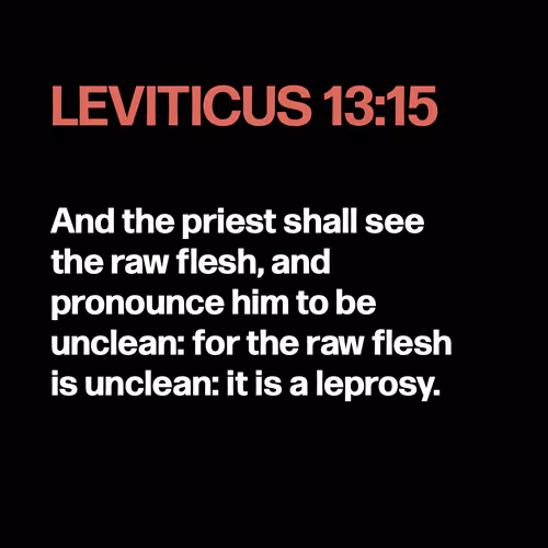 Item #22053356606985035317572807567829034573317121579682343289603636742537579855873 Media