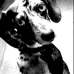 Cyber Sausage #5
