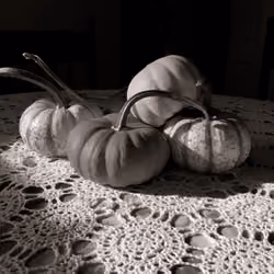 Gourds (Carlton, Georgia, 2019)